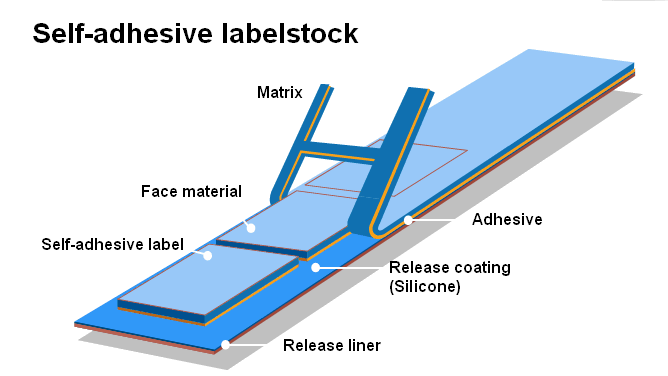 self-adhesive-label-cross-section